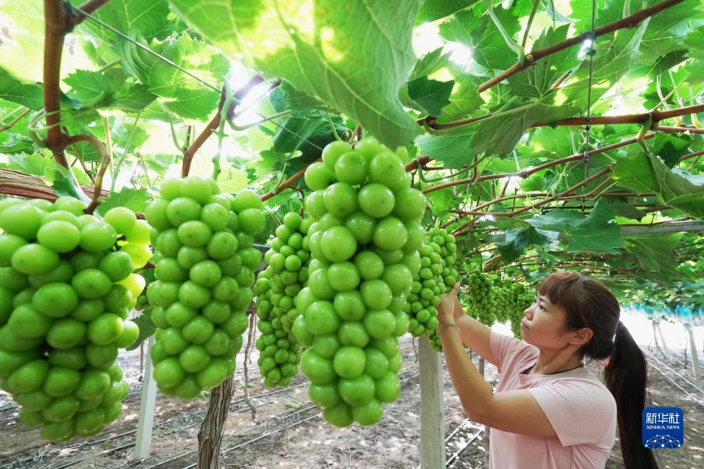 捕鱼南海风云